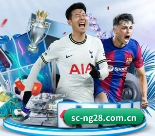 NG28 APP 界面